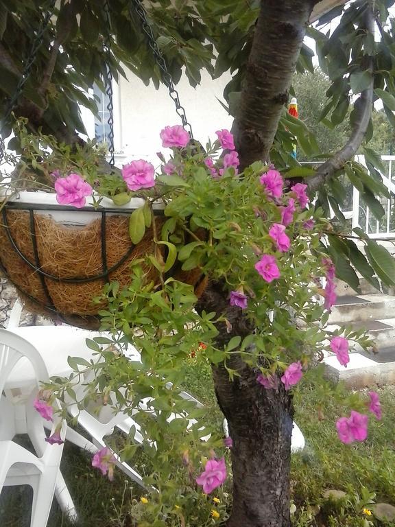 Apartament Siesta Szybenik
